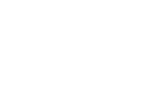 MartinLogan